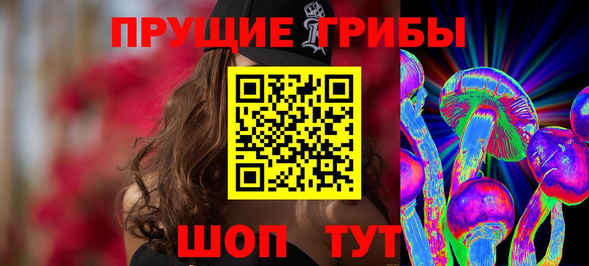 Псилоцибиновые грибы Magic Shrooms  Вход с VPN  Луховицы  закладка  Псилоцибиновые грибы GOLDEN TEACHER 